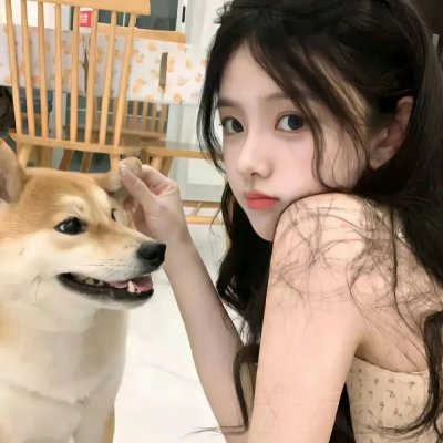 小叮当与海盗仙子 海报